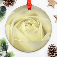  Cream Rose Round Ornament by Colorfulart23