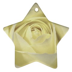  Cream Rose Star Ornament by Colorfulart23