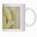  Cream Rose White Coffee Mug Right