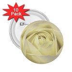  Cream Rose 2.25  Button (10 pack) Front