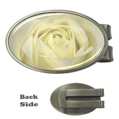  Cream Rose Money Clip (oval) by Colorfulart23