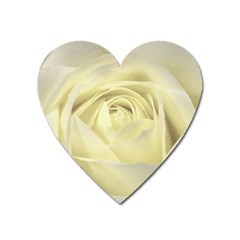  Cream Rose Magnet (heart)