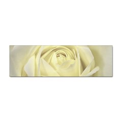  Cream Rose Bumper Sticker 100 Pack by Colorfulart23