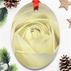  Cream Rose Oval Ornament (two Sides) by Colorfulart23