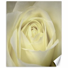  Cream Rose Canvas 8  X 10  (unframed)