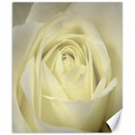  Cream Rose Canvas 8  x 10  (Unframed) 8.15 x9.66  Canvas - 1