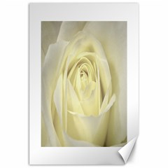  Cream Rose Canvas 20  X 30  (unframed) by Colorfulart23