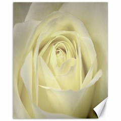  Cream Rose Canvas 11  X 14  (unframed) by Colorfulart23