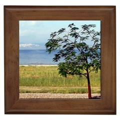 Sea Of Galilee Framed Ceramic Tile