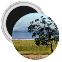 Sea Of Galilee 3  Button Magnet