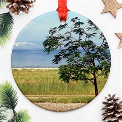 Sea Of Galilee Round Ornament