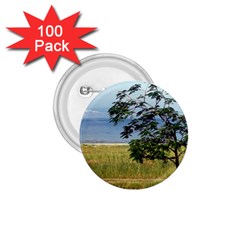 Sea Of Galilee 1 75  Button (100 Pack)