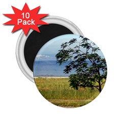 Sea Of Galilee 2 25  Button Magnet (10 Pack) by AlfredFoxArt