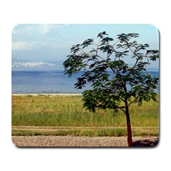 Sea Of Galilee Large Mouse Pad (rectangle)