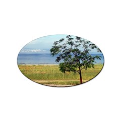 Sea Of Galilee Sticker (oval)