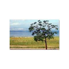 Sea Of Galilee Sticker (rectangle) by AlfredFoxArt