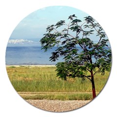 Sea Of Galilee Magnet 5  (round)