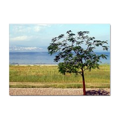 Sea Of Galilee A4 Sticker 100 Pack