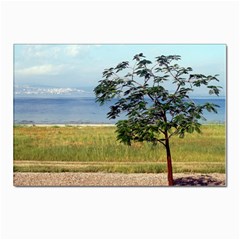 Sea Of Galilee Postcards 5  X 7  (10 Pack)