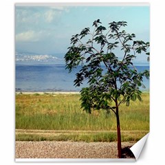 Sea Of Galilee Canvas 20  X 24  (unframed)