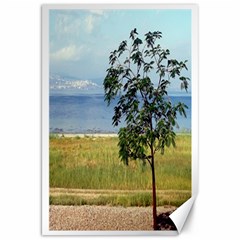 Sea Of Galilee Canvas 20  X 30  (unframed)