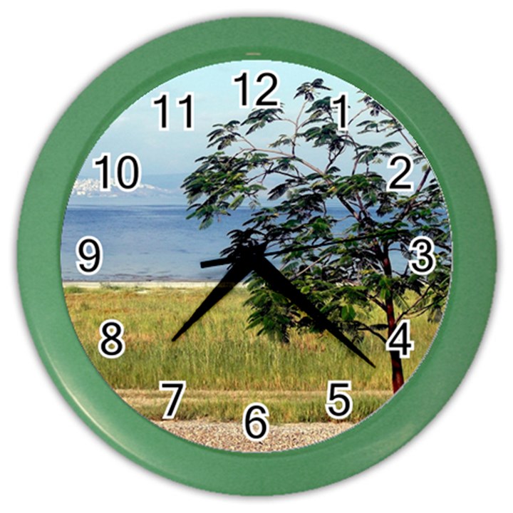 Sea Of Galilee Wall Clock (Color)