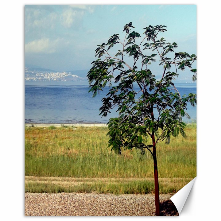 Sea Of Galilee Canvas 11  x 14  (Unframed)