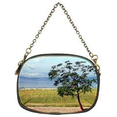 Sea Of Galilee Chain Purse (one Side)