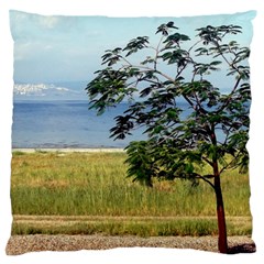 Sea Of Galilee Large Cushion Case (single Sided) 