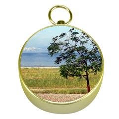 Sea Of Galilee Gold Compass