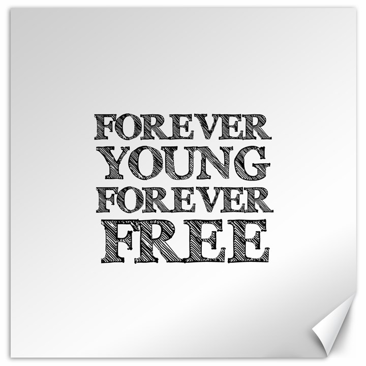 Forever Young Canvas 20  x 20  (Unframed)