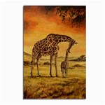 Giraffe Mother & Baby Postcards 5  x 7  (10 Pack) Front