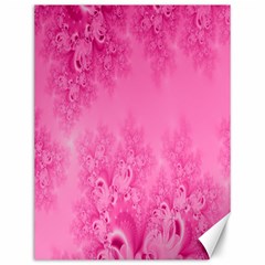 Soft Pink Frost Of Morning Fractal Canvas 12  X 16  (unframed)