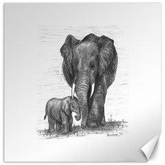 Elephant Canvas 20  X 20  (unframed) by sdunleveyartwork