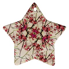 Red Deco Geometric Nature Collage Floral Motif Star Ornament (two Sides) by dflcprints