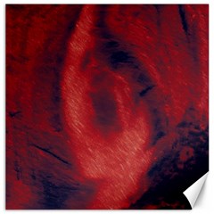 Blood Waterfall Canvas 20  X 20  (unframed)