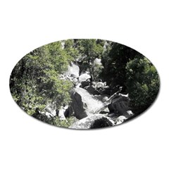 Yosemite National Park Magnet (oval) by LokisStuffnMore