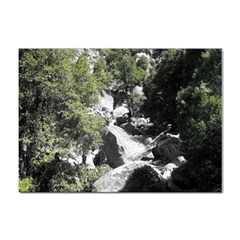 Yosemite National Park Sticker A4 (100 Pack)