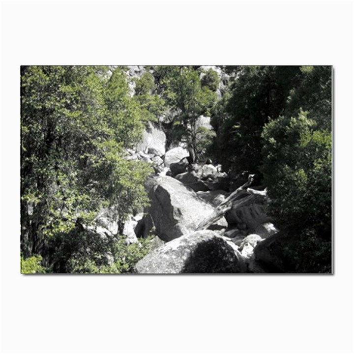 Yosemite National Park Postcards 5  x 7  (Pkg of 10)