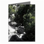 Yosemite National Park Greeting Cards (Pkg of 8) Left