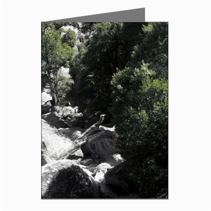 Yosemite National Park Greeting Cards (Pkg of 8)