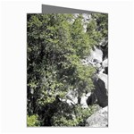 Yosemite National Park Greeting Cards (Pkg of 8) Right