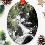 Yosemite National Park Oval Ornament (Two Sides) Front