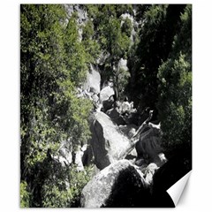 Yosemite National Park Canvas 8  X 10 