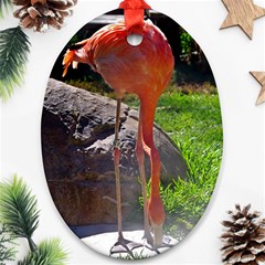 Flamingos Oval Ornament (two Sides)