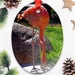 flamingos Oval Ornament (Two Sides) Front