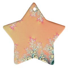 Peach Spring Frost On Flowers Fractal Star Ornament (two Sides) by Artist4God