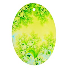 Sunny Spring Frost Fractal Oval Ornament by Artist4God