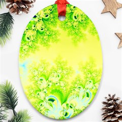 Sunny Spring Frost Fractal Oval Ornament (two Sides) by Artist4God