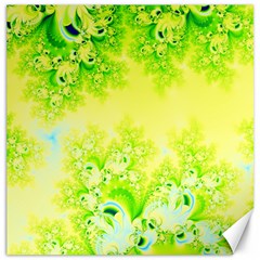 Sunny Spring Frost Fractal Canvas 20  X 20  (unframed) by Artist4God